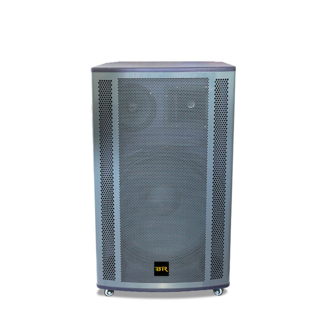 altavoz de audio HD Karaoke Sistema de sonido de escenario al aire libre altavoz