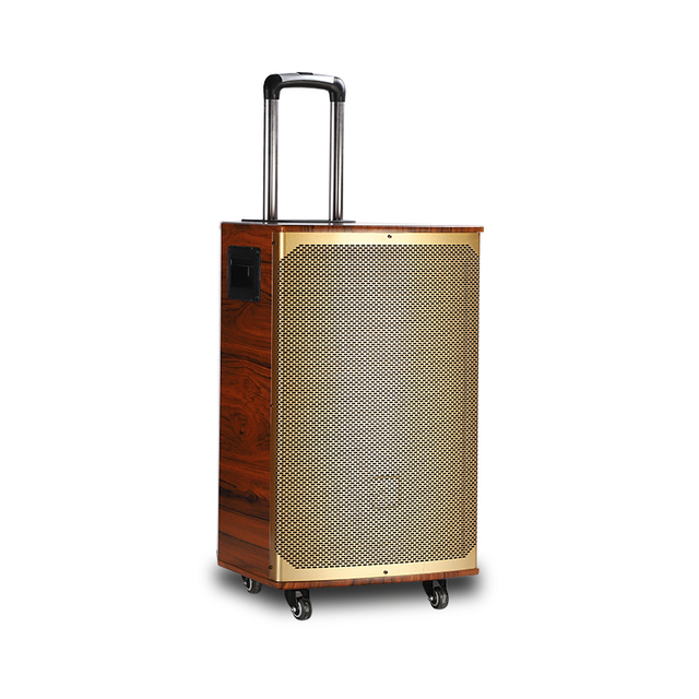 Altavoces de roca al aire libre de dientes azules de madera dorada de 12 pulgadas con 80w