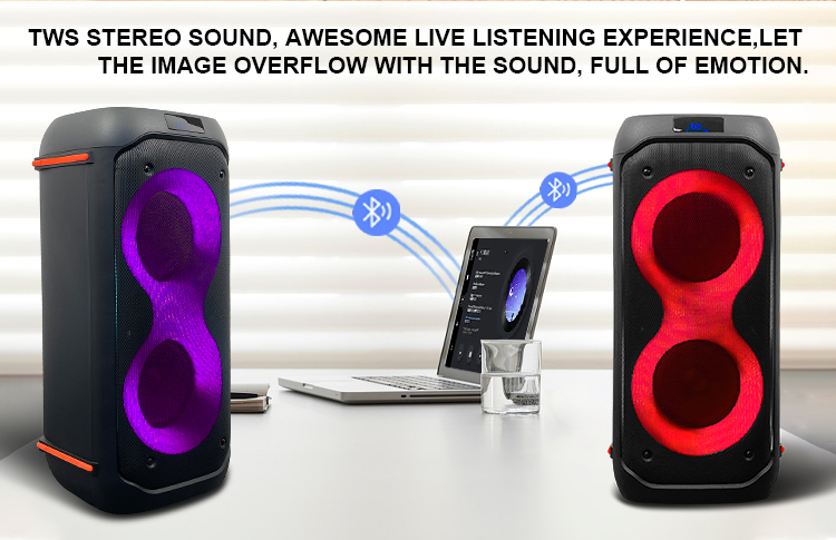 Altavoz de bajo dual de 6.5 pulgadas