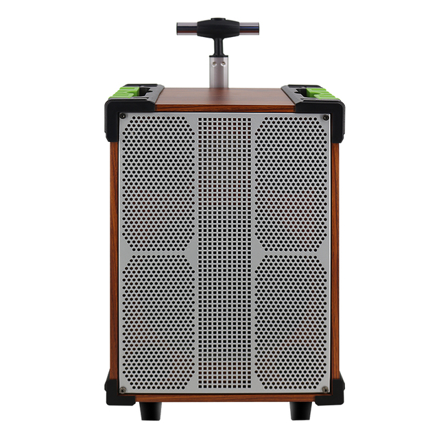 Guangzhou Price barato Big Power Bt Active Trolley Altavoz recargable con radio