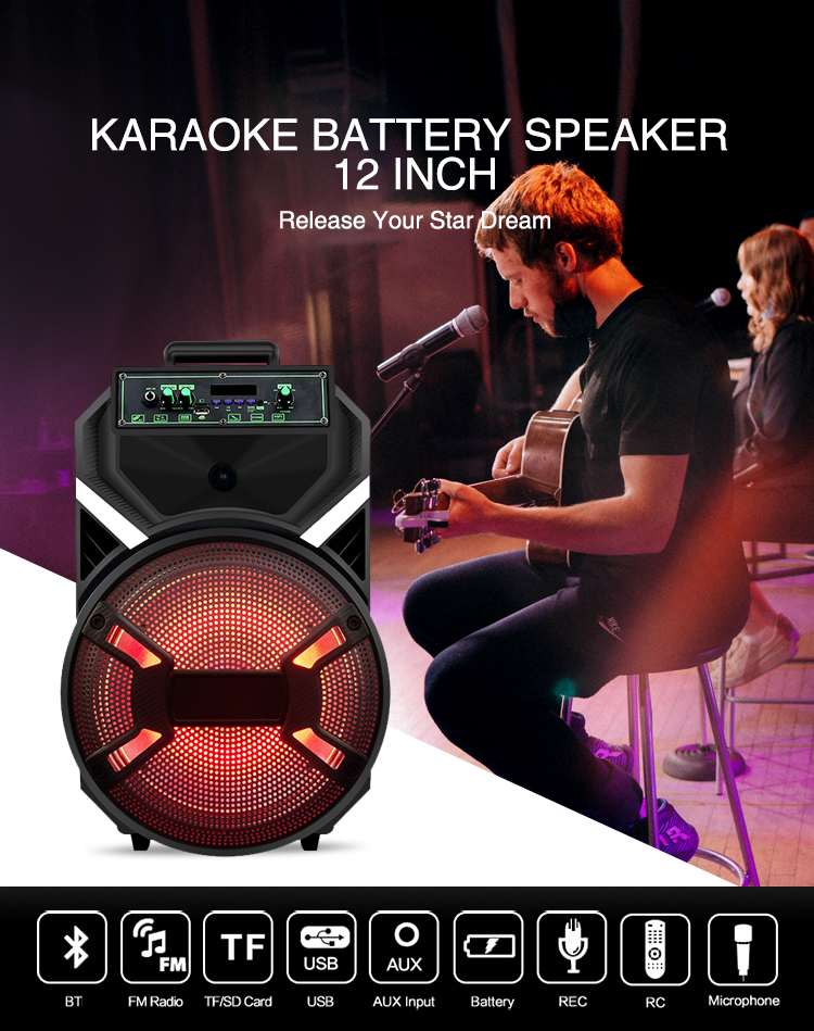 Modelo QJ-1212 Colorida Light <RBRBRBR> 12 &nbsp; ENGRANDO &nbsp; Altavoz
