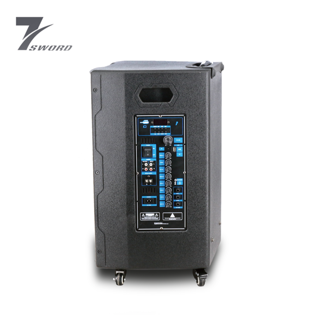 DJ Sistema de sonido Bluetooths Wireless Karaoke Caja de altavoces de 15 pulgadas