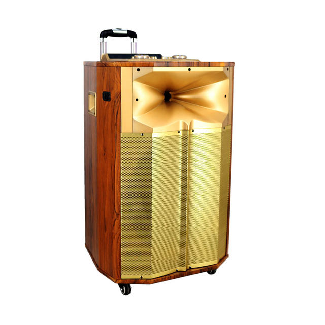 Reproductor de audio portátil inalámbrico de alta calidad de 15 pulgadas Use altavoz de tranvía activo