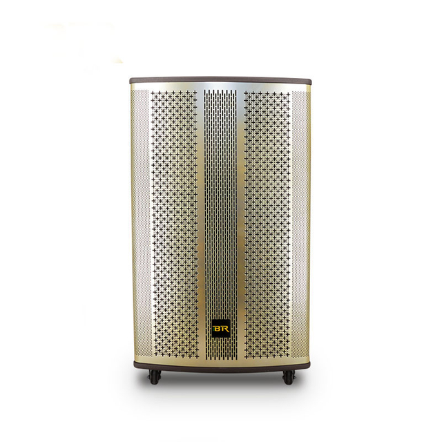 Altavoz portátil grande de 18 pulgadas con 150W con estuche de madera