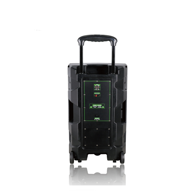 Amazon 2020 Sale altavoz inalámbrico de venta y caja de plástico altavoz de 12 pulgadas