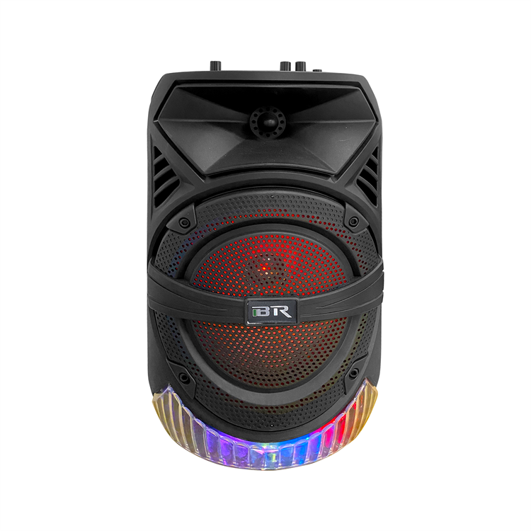 Al por mayor de 8 pulgadas portátil Bt Karaoke altavoz recargable QJ-K81