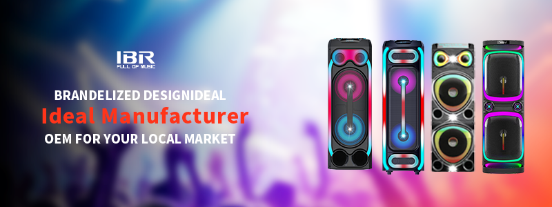 altavoz de carro de karaoke inal&aacute;mbrico