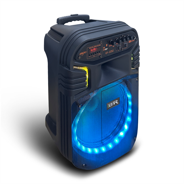 12 "Woofer de luz LED al aire libre RGB Luces Bluetooth Trolley Speaker QJ-1029