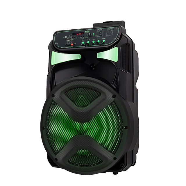De 12 pulgadas portátil dual Karaoke profesional 100W el altavoz  inalámbrico Bluetooth - China Altavoz altavoz Bluetooth y Karaoke precio
