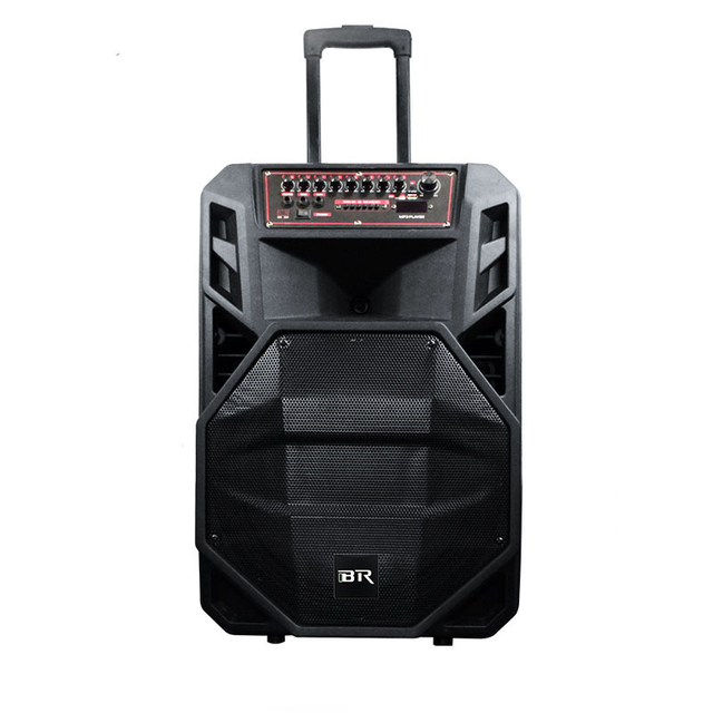 Altavoces portátiles recargables de 15 pulgadas de amplificador de 80W