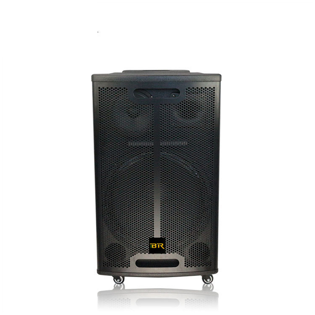 Trolley altavoz activo al aire libre con sistema de audio altavoz de fiesta en casa portátil de 15 pulgadas