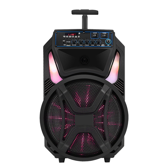 Popular fábrica precio barato de 12 pulgadas Karaoke Trolley Speaker 100W