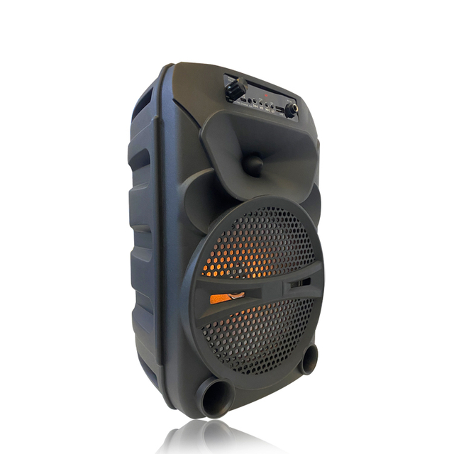 Altavoz inalámbrico de dos vías portátil con MIC de fábrica China QJ-T320