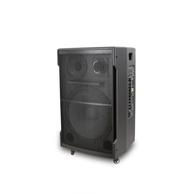 Amplificador activo portátil Wireless recargable altavoz impermeable