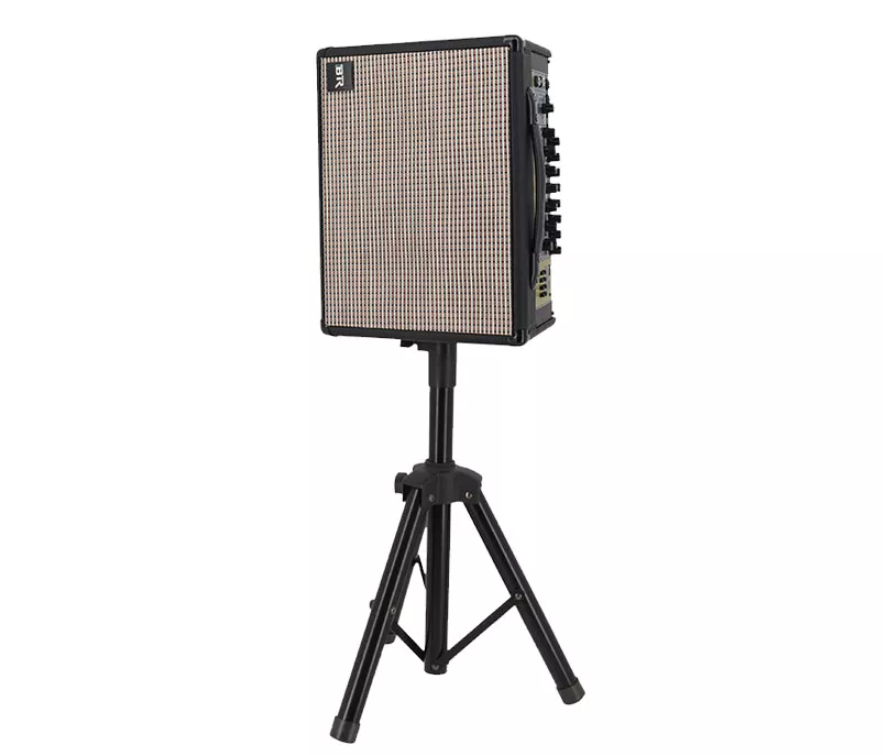 Altavoz port&aacute;til live dual de 8 pulgadas con funci&oacute;n de guitarra