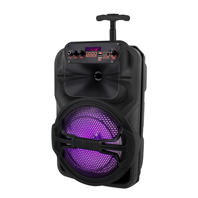 IBR Brands Bluetooth Bluetooth Karaoke de 8 pulgadas Caja de altavoces de música con luces