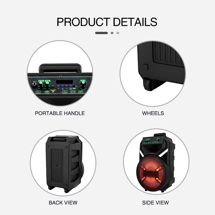 Altavoz de karaoke de 12 pulgadas