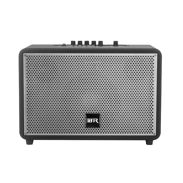 Altavoz activo recargable con jugador de karaoke al aire libre portátil de múltiples funciones con micrófono inalámbrico