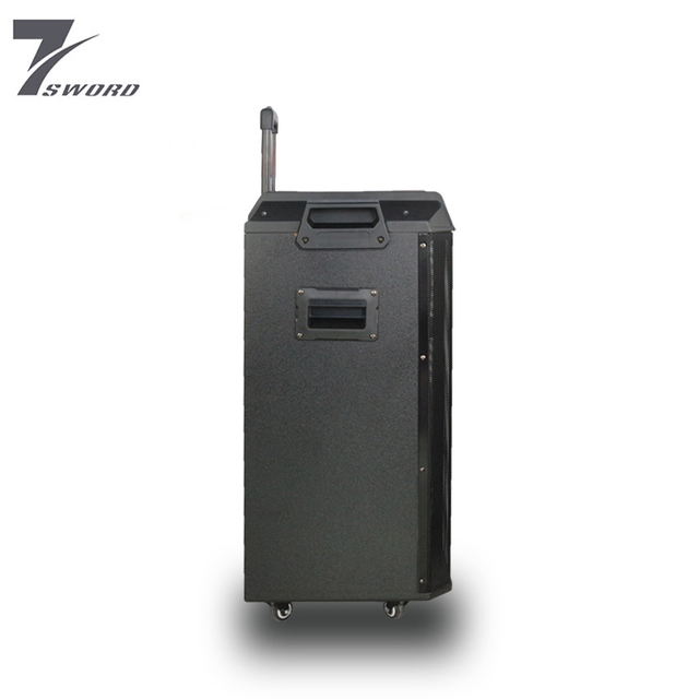 Altavoz LED LED de 15 pulgadas para altavoces caseros Bt Trolley Portable Speaker