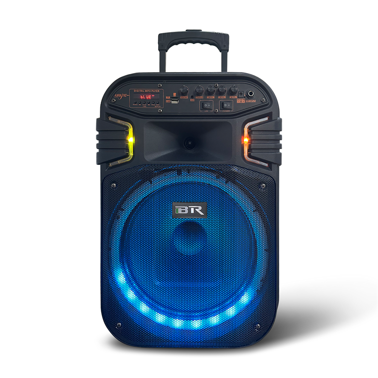 Desata a su intérprete interior con los mejores altavoces de woofer de carro de karaoke inalámbrico