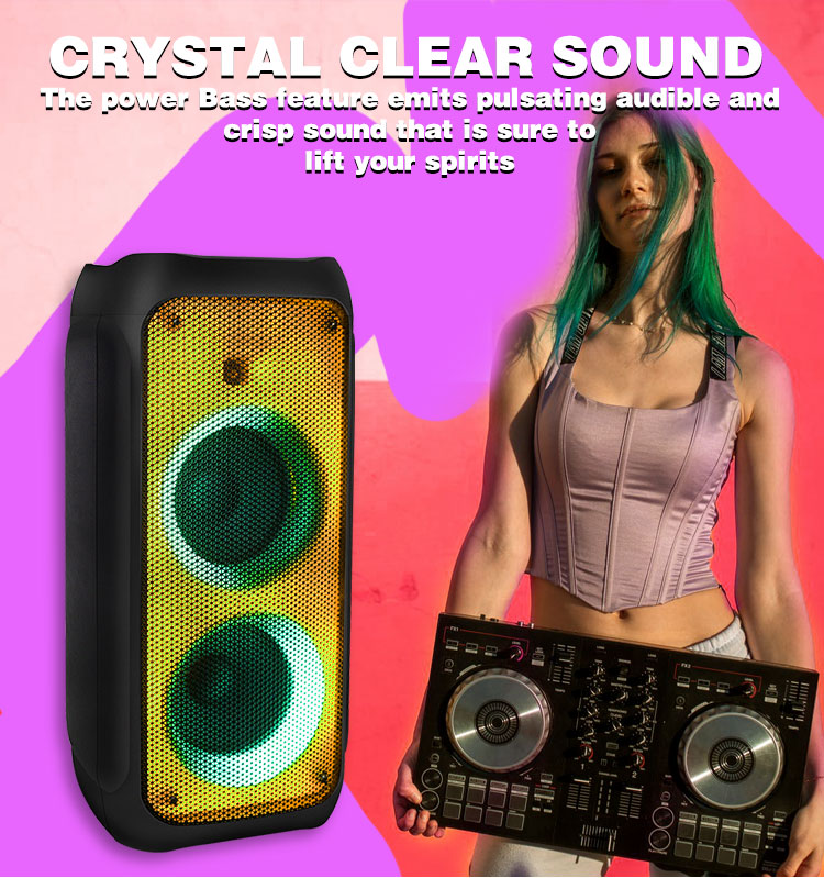 Altavoz port&aacute;til de 8 pulgadas