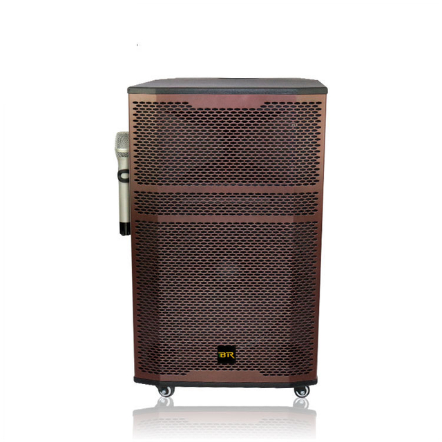 Máquina de karaoke de 15 pulgadas con altavoz de sistema de sonido de micrófono