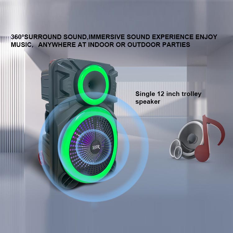 Amplificador port&aacute;til Bluetooth inal&aacute;mbrico OEM