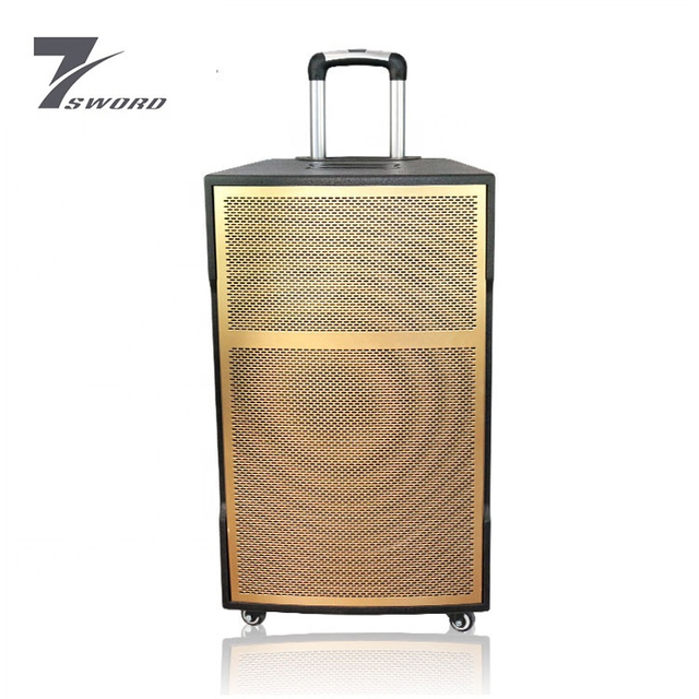 Amplificador de 15 pulgadas Audio Portable Trolley Altavoz de bajo magnético