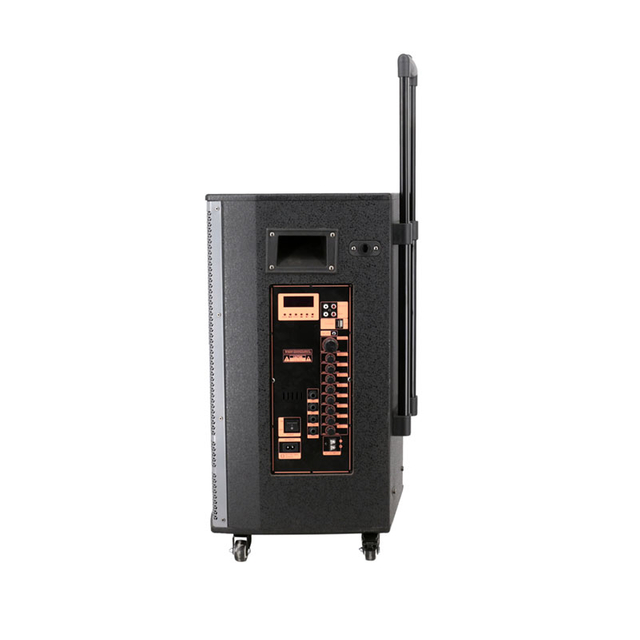 Altavoz de carro de madera de color opcional de madera para el gabinete de fiesta